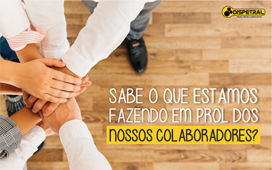 Dispetral investe em ações internas de prevenção