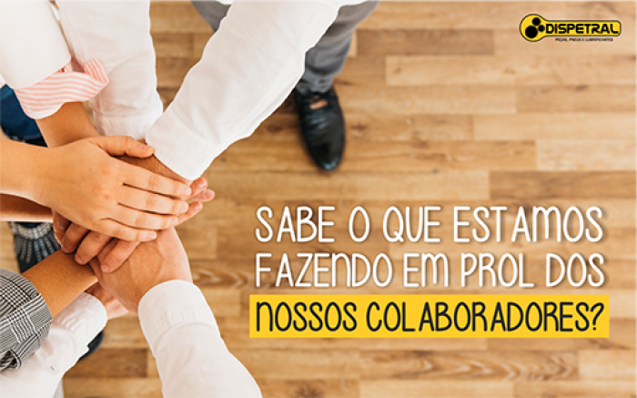 Dispetral investe em ações internas de prevenção